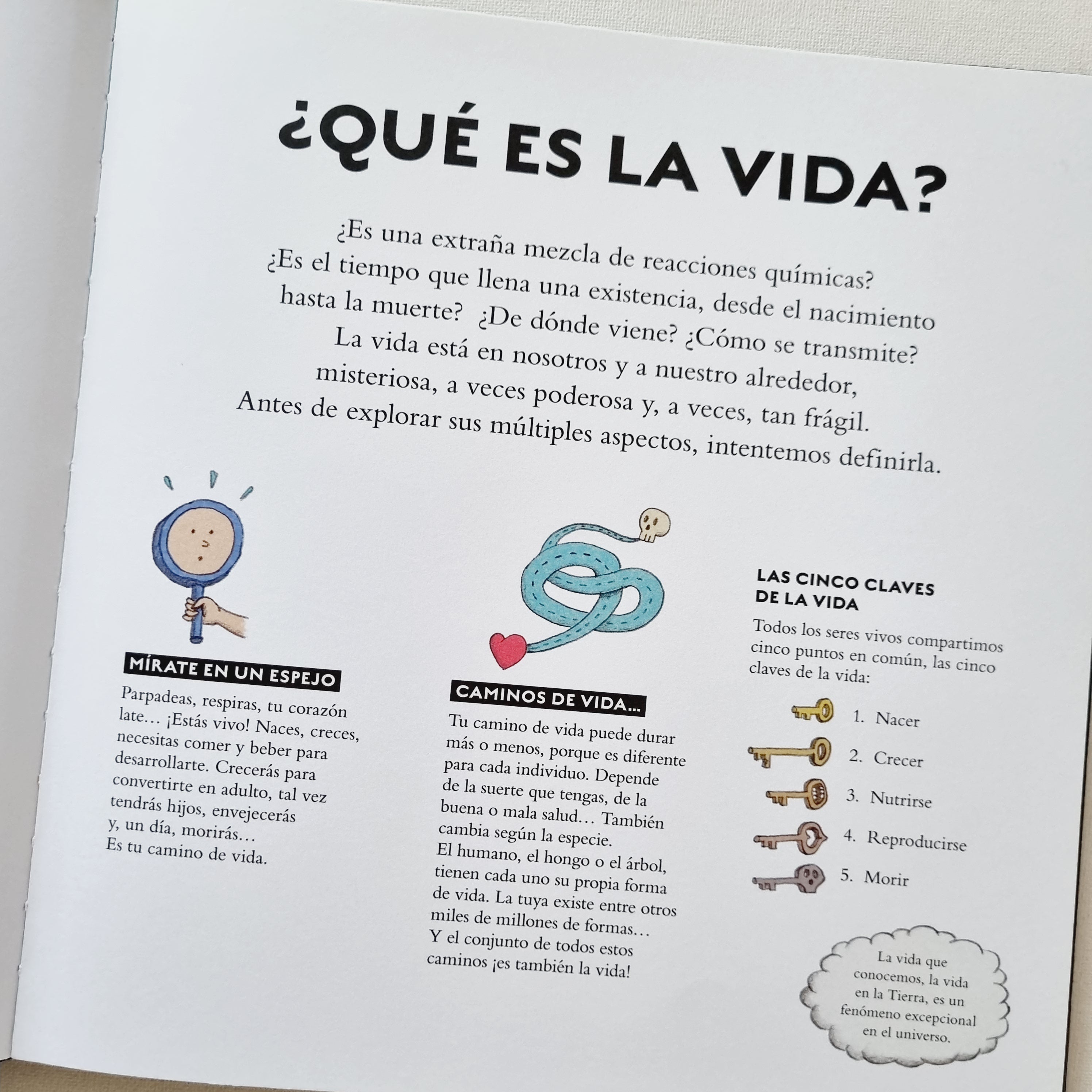 Vida Vida